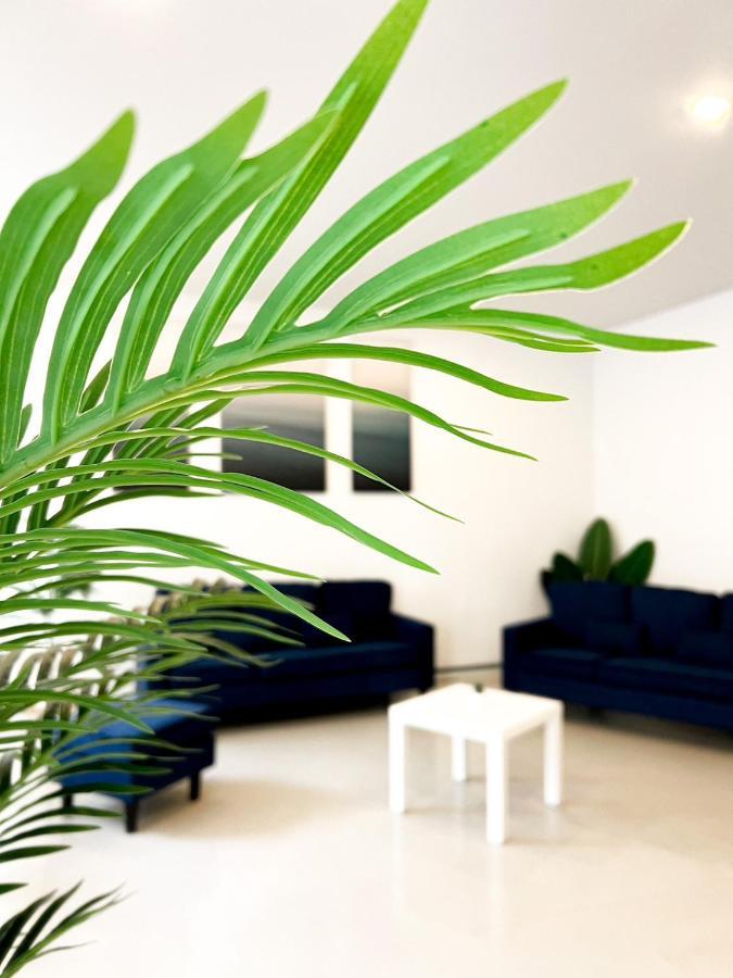 Baobab Hotel Patong Ngoại thất bức ảnh